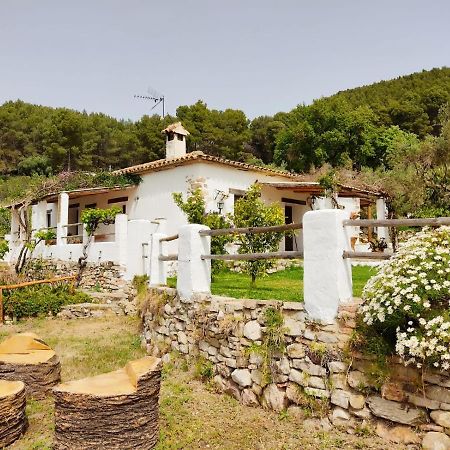 Villa Huerta Nacimiento モンテコルト エクステリア 写真
