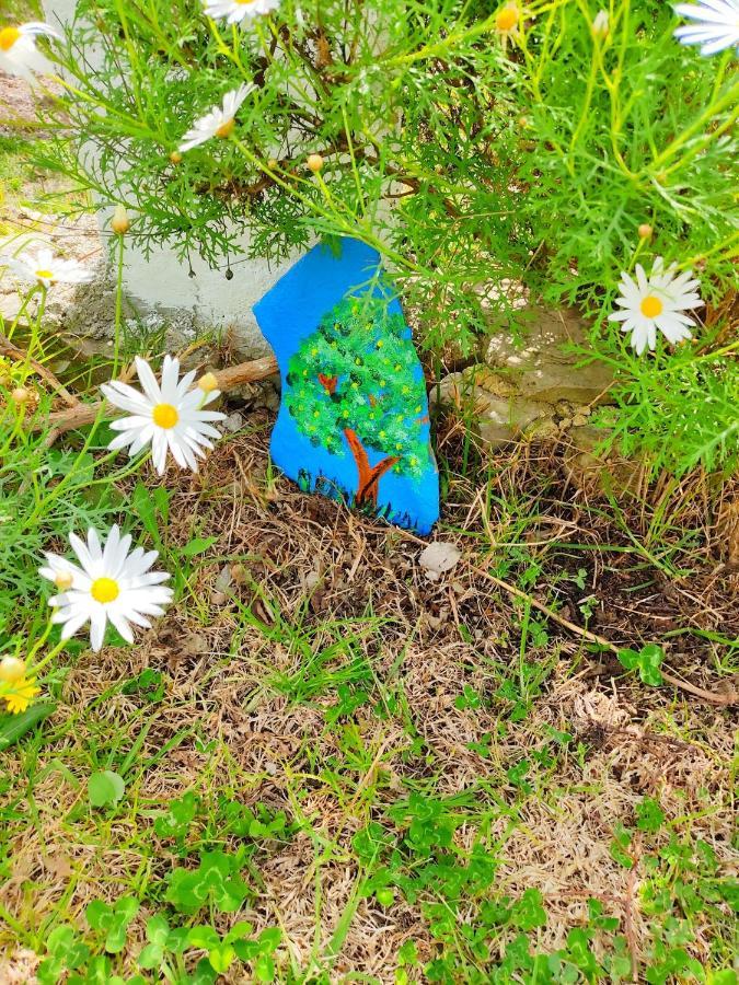 Villa Huerta Nacimiento モンテコルト エクステリア 写真