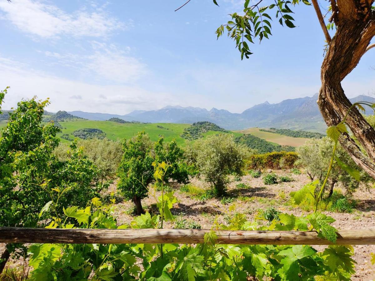 Villa Huerta Nacimiento モンテコルト エクステリア 写真